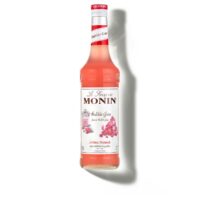 MONIN Kramtomosios gumos sirupas