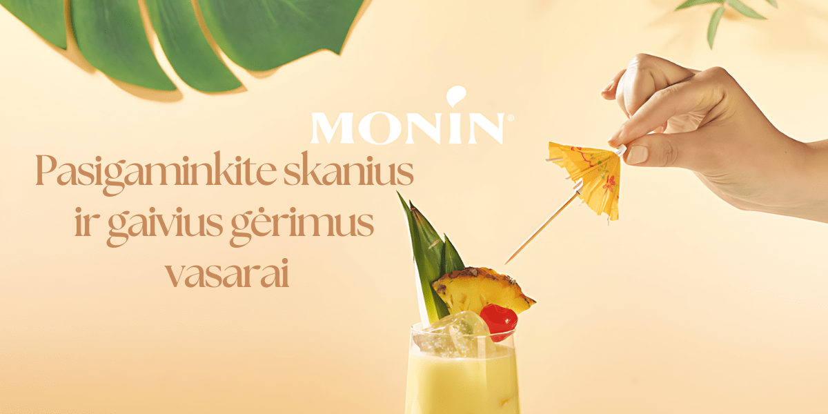 MONIN receptai vasarai