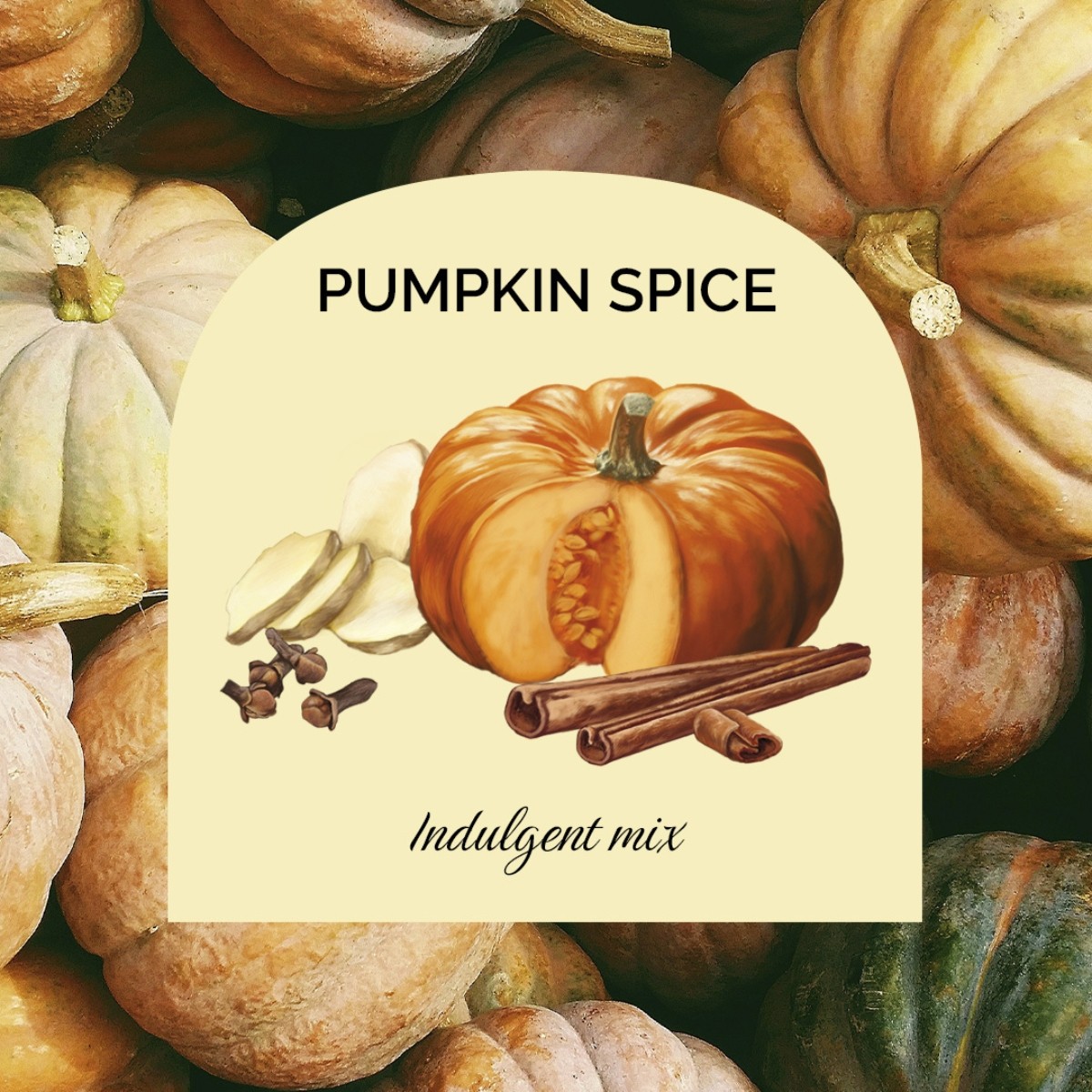 MONIN Pumpkin Spice moliūgų padažas 1 l | Kavai ir desertams - Image 2